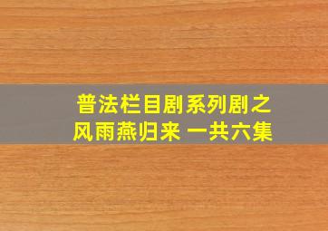 普法栏目剧系列剧之风雨燕归来 一共六集